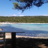 Piaszczysta plaża Sakarun